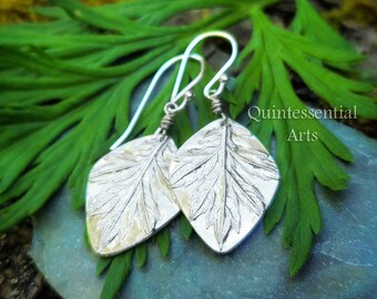 Artemisia vulgaris - Hoja de artemisa - Pendientes de escudo de plata pura de Quintessential Arts