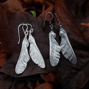Acer spp. - Maple Samaras - Pure Silver Real Seed Earrings  by Quintessential Arts