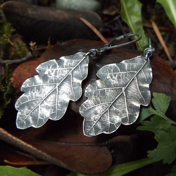 Quercus - Oak Tree Leaf - Pure Silver Earrings  by Quintessential Arts