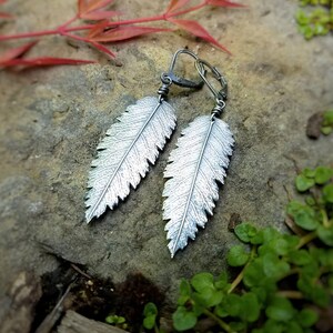 Sorbus aucuparia - Rowan (Mountain Ash) Cut out Edge -Pure Silver Leaf Earrings  by Quintessential Arts