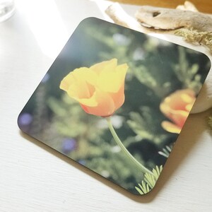 Eschscholzia californica - California Poppies - Coaster - Original Photo by Quintessential Arts
