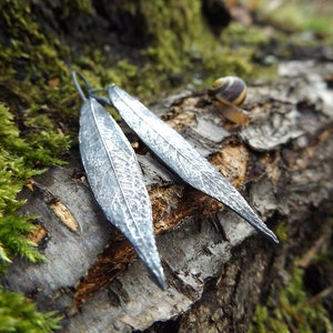 Salix alba - Bastyr Willow - Real Leaf Artisan Pure Silver Earrings  by Quintessential Arts