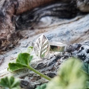 Artemisia vulgaris - Mugwort Leaf - Pure and Sterling Silver Ring  US Size 5, 6, 7, 8, 9, 10  by Quintessential Arts