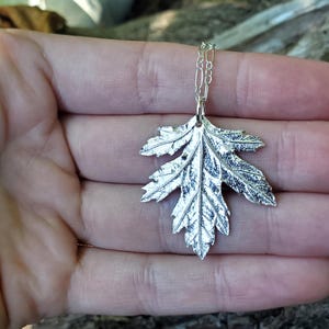 Puede incluir: Un collar de plata con un colgante de hoja texturizado y detallado. La hoja es una representaci&oacute;n realista de una hoja de arce.