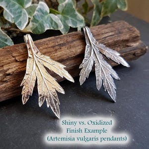 Puede incluir: Dos colgantes de plata con forma de hojas de artemisa com&uacute;n. Un colgante tiene un acabado brillante, mientras que el otro tiene un acabado oxidado.  Ejemplo de acabado brillante vs. oxidado (colgantes de artemisa com&uacute;n)