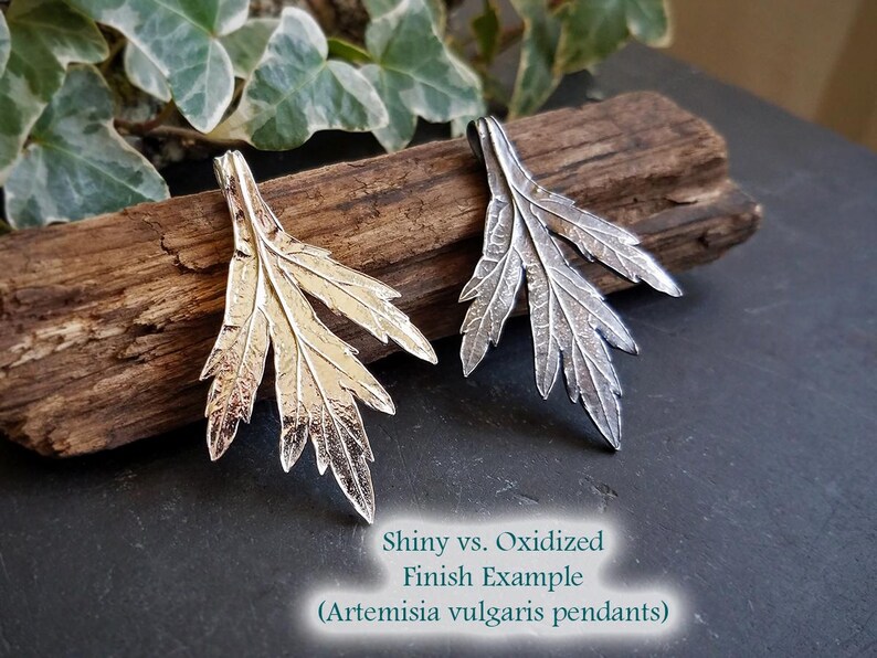 Puede incluir: Dos colgantes de plata con forma de hojas de artemisa com&uacute;n. Un colgante tiene un acabado brillante, mientras que el otro tiene un acabado oxidado.  Ejemplo de acabado brillante vs. oxidado (colgantes de artemisa com&uacute;n)