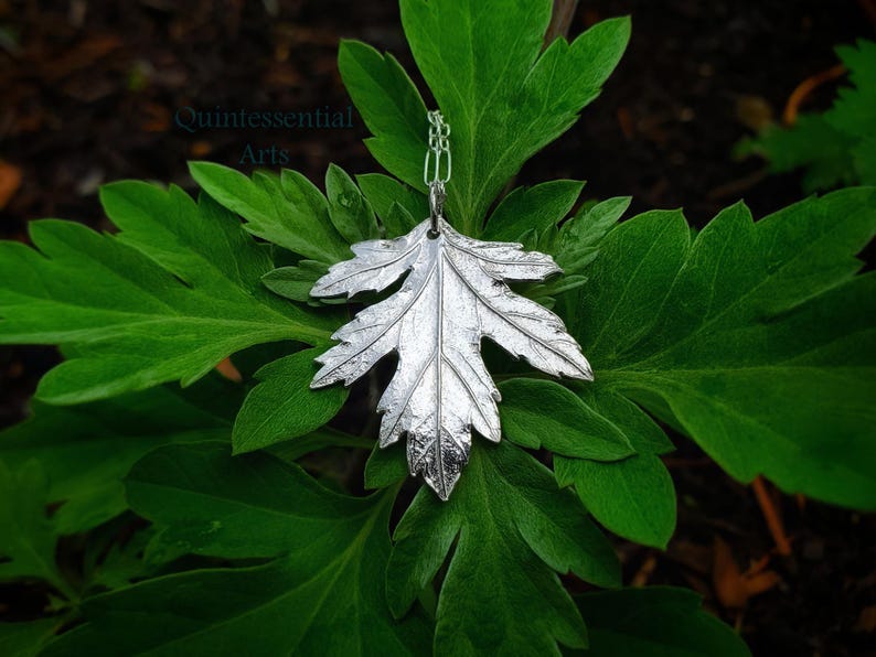 Puede incluir: Un collar con un colgante de hoja de plata con un dise&ntilde;o detallado. El colgante est&aacute; colgado de una cadena de plata y descansa sobre un lecho de hojas verdes.