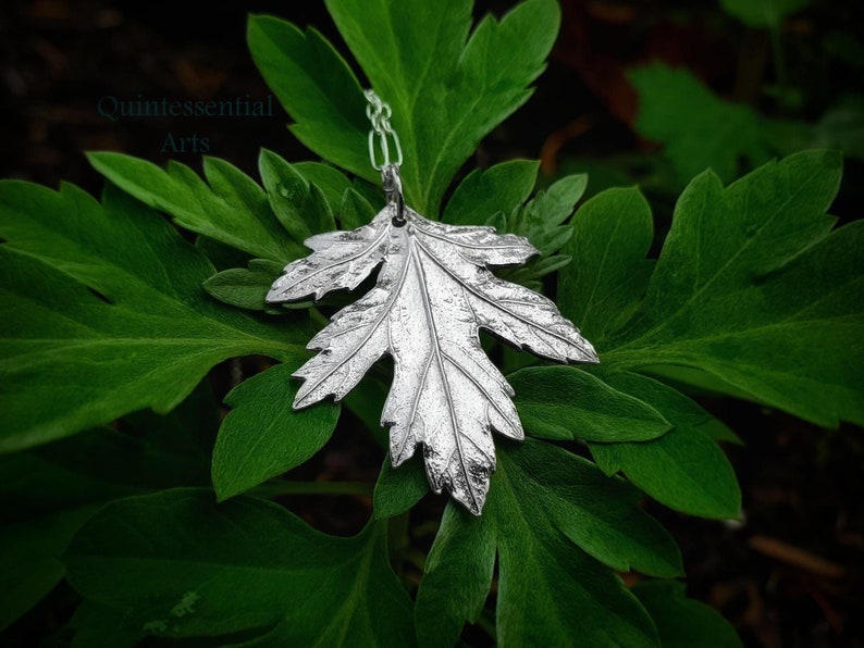 A pure silver chinese mugwort pendant, resting on the plant it's made from.  It is highly detailed, showing the imprint of the leaf texture and veins.