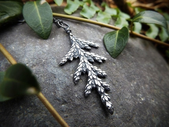 Thuja plicata - Western Red Cedar Tree - Reines Silber Echtes Botanisches  Blatt Anhnger von Quintesstial Arts - Etsy.de