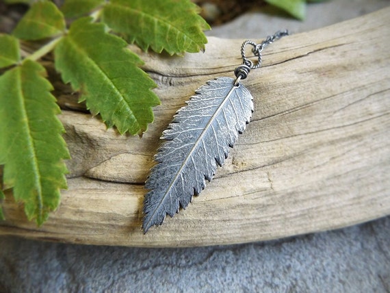 Sorbus Aucuparia Rowan Tree (mountain Ash) Cut Out -pure Silver