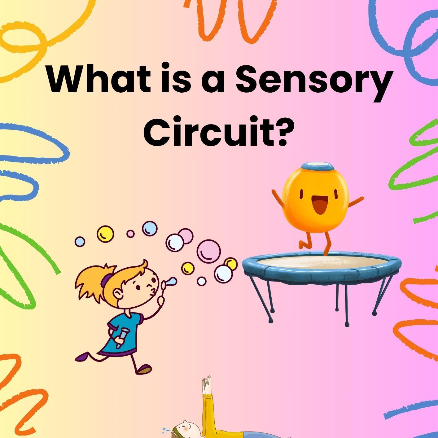 No Equipment Sensory Circuit + Free “what is Sensory Circuits?” Guide ...