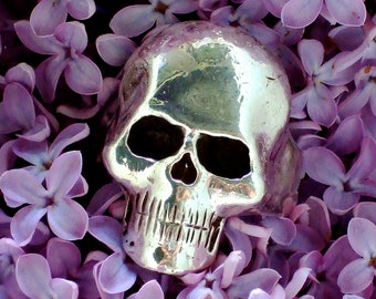 May include: A polished silver-toned skull figurine with deep, dark eye sockets and a defined nasal cavity, resting amidst a dense cluster of vibrant purple lilac flowers. The metallic surface of the skull reflects light, creating bright highlights.
