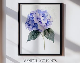 May include: A framed watercolor print featuring a large, vibrant hydrangea bloom in shades of blue and purple. The flower has green leaves and a slender stem. The print is set against a white background and framed in a black frame. The text "MANITOU ART PRINTS" is at the bottom.