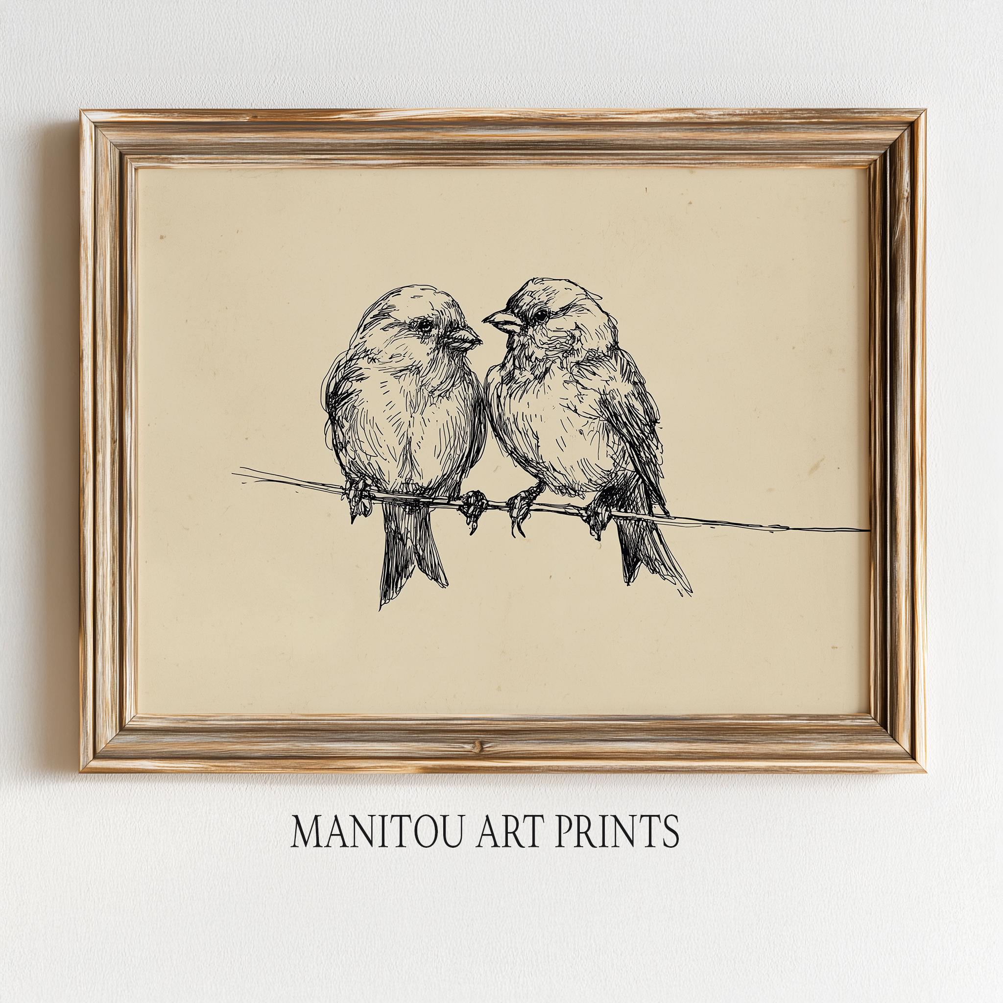 Finch Sketch - Etsy