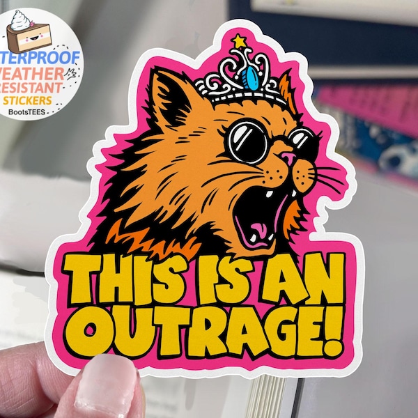 This is an Outrage Princess Donut Sticker, Dungeon Crawler Carl sticker, funny cat sticker with quote, book decal BootsTees WATERPROOF decal