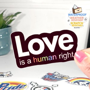 Cute Pride Sticker with Quote, LGBT sticker for water bottle, Gay Pride Stickers, WATERPROOF pride decal, lgbtq ally sticker, lgbtqia pride