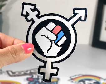Trans Pride Sticker, transgender symbol sticker, pink and blue fist sticker, trans rights stickers for water bottle laptop, waterproof decal