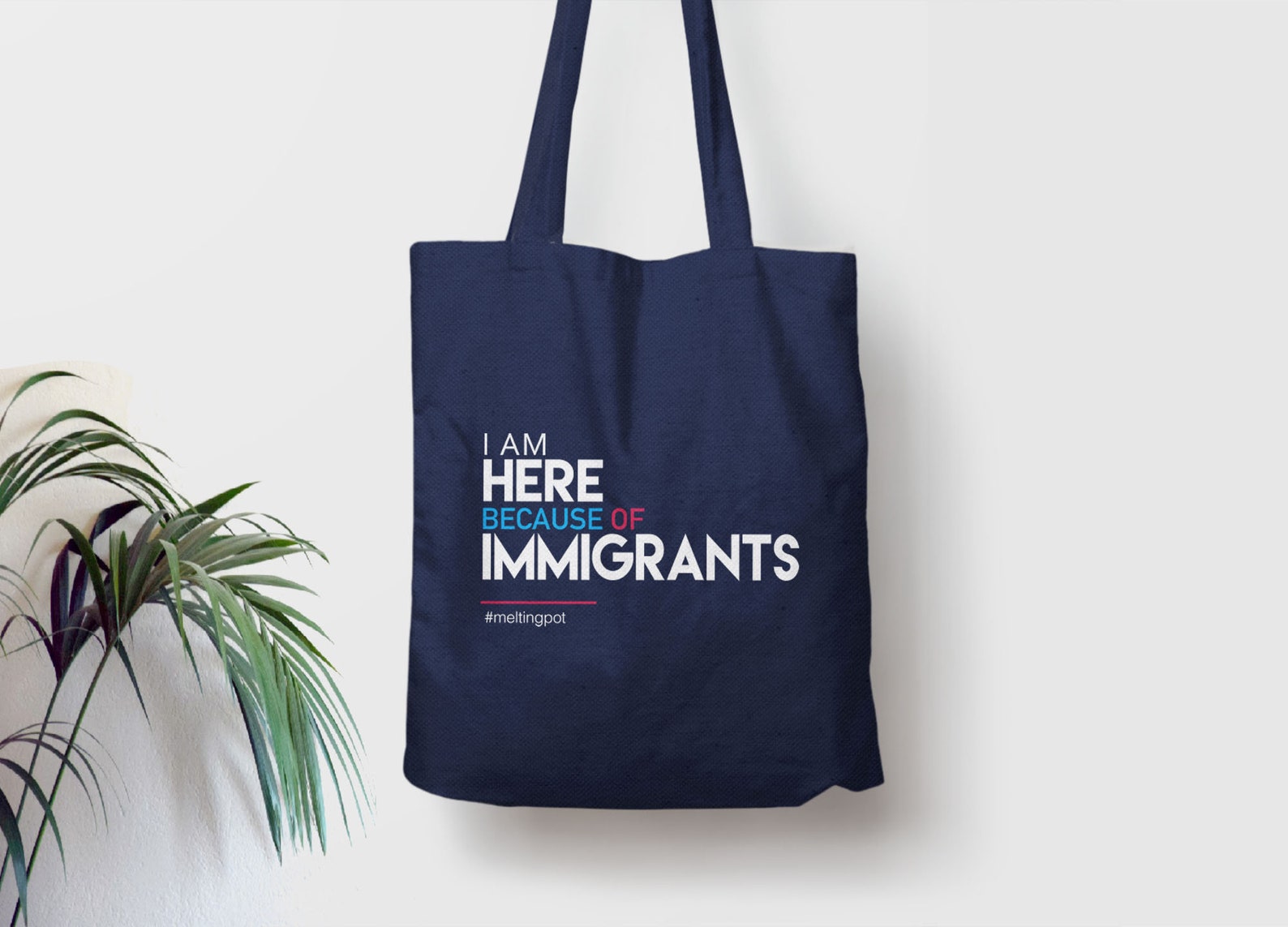 immigrant travel bag