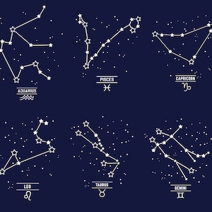 May include: A white outline of the zodiac constellations Aquarius, Pisces, Capricorn, Leo, Taurus, and Gemini on a dark blue background with white stars.