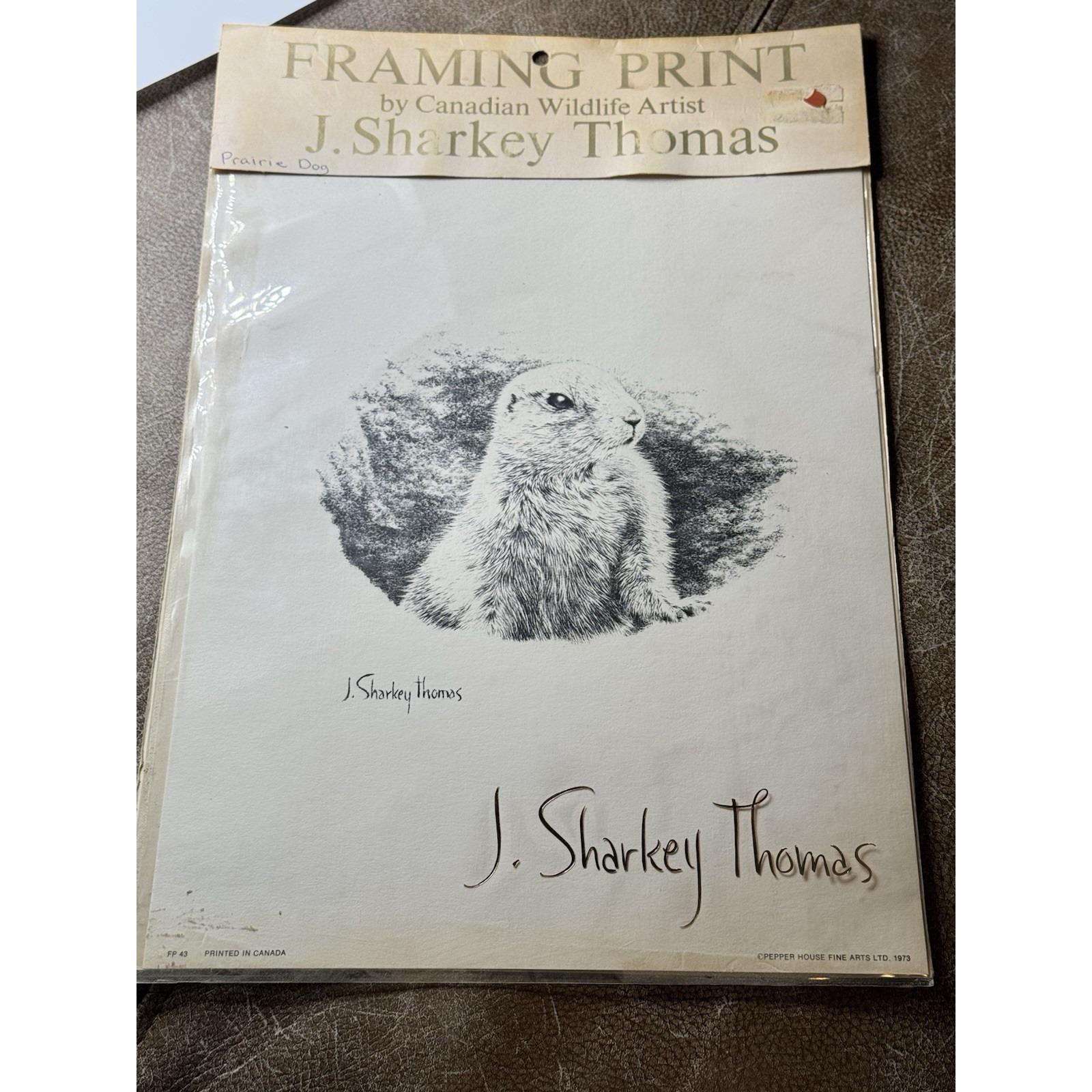 Vintage 1973 J. Sharkey Thomas Prairie Dog Print Signed Wall Art