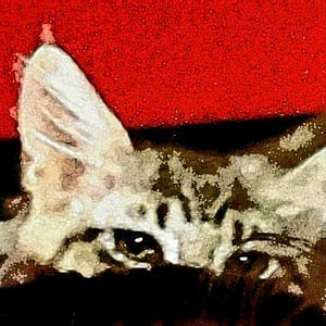 Cartoon Cat. Cat Deco