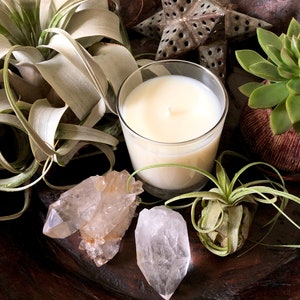 AMBROSIA | custom fragrance blend small-batch soy wax candle | 8 oz. glass jar