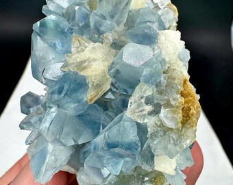Może przedstawiać: Gromada jasnoniebieskich kryształów celestytu o krystalicznej strukturze. Kryształy otoczone są białawymi i beżowymi formacjami mineralnymi. Okaz minerału trzymany jest w dłoni.