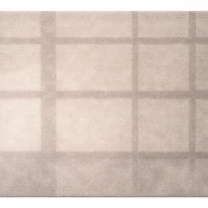K&ouml;nnte beinhalten: Ein rechteckiger, beigefarbener Teppich mit einem Rastermuster. Das Raster wird durch dunklere beige Linien gebildet, wodurch ein subtiles geometrisches Design entsteht. Der Teppich hat ein weiches, pl&uuml;schiges Aussehen, geeignet f&uuml;r die Inneneinrichtung.