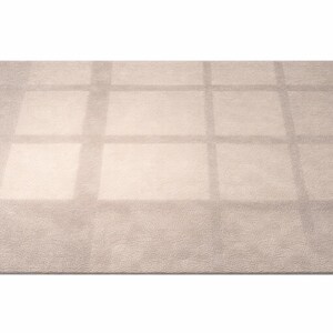 K&ouml;nnte beinhalten: Ein rechteckiger beigefarbener Teppich mit einem Gittermuster. Der Teppich hat eine weiche, pl&uuml;schige Textur und eine neutrale Farbpalette, wodurch er f&uuml;r verschiedene Einrichtungsstile geeignet ist. Das Gitterdesign sorgt f&uuml;r visuelles Interesse.