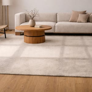 K&ouml;nnte beinhalten: Ein rechteckiger Teppich in neutralem Farbton dominiert den Vordergrund und erg&auml;nzt das hellfarbige Sofa und den Holztisch. Ein Korbstuhl und eine Stehlampe erg&auml;nzen die Einrichtung. Der Teppich misst etwa 244 x 305 cm.