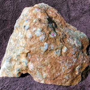 May include: A rough, irregular mineral specimen featuring a textured surface with a mix of earthy brown, tan, and light gray tones. The stone is embedded with numerous small, translucent blue-gray inclusions and several distinct, vibrant pink spots.