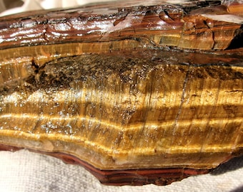Tiger Eye Rough 13.07 lbs. from Madagascar Slab Saw Rough Rock