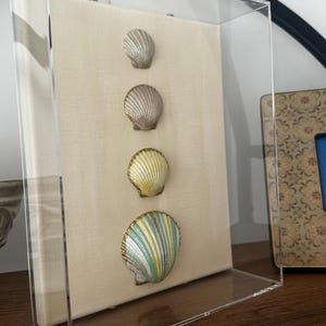 Arte de conchas - conchas pintadas a mano - Coastal Tideform