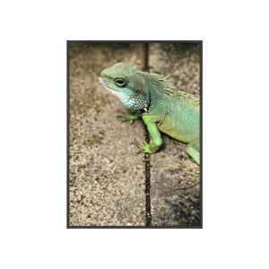 Lizard Art Poster with Wooden Frame, Nature Decor, Animal Lover Gift, Eco-Friendly Wall Art, Reptile Room Decor, Cool, Wildlife Photography