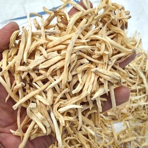 Ashwagandha, Safed Musli With Shilajeet Liquid Combo Pack 215 Gm image 3