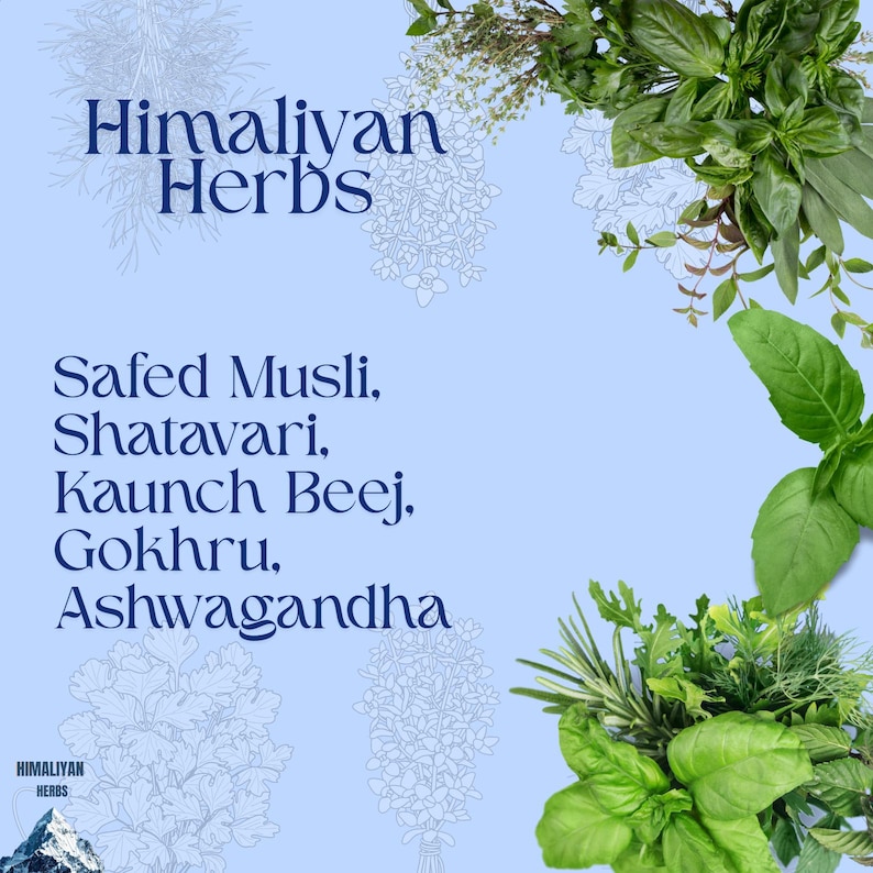Safed-musli, Kaunch Beej, Gokhru, Shatavar, Ashwagandha 250 gram combopakket afbeelding 1