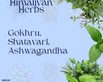 Natuurlijk biologisch ashwagandha-, shatavari- en gokhru-kruidencombopakket