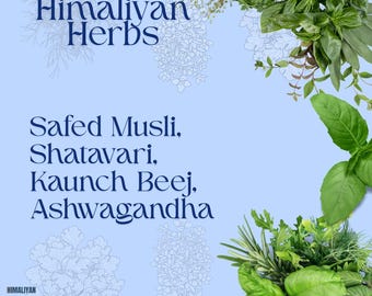 Safed-musli, Kaunch Beej, Ashwagandha, Shatavari 200 gram combopakket