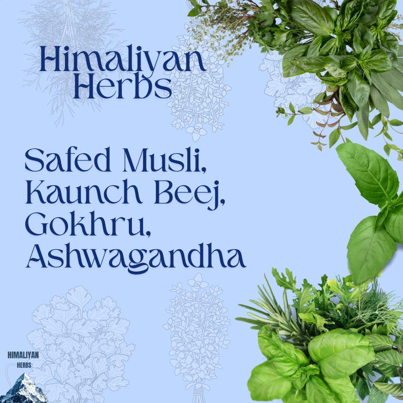 Safed Musli, Kaunch Beej, Ashwagandha, Gokhru 200 Gm Combo Pack image 1