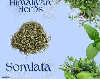 Somlata Dried Herb, Natural Somlata Plant Material, Premium Quality Somlata, Gerard Jointfir Ain Khanta, Somlata, Soma Gerardiana