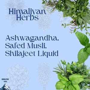 Ashwagandha, Safed Musli with Shilajeet Liquid Combo Pack image 1