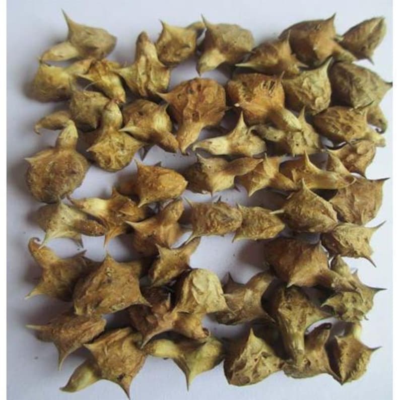 Safed Musli, Kaunch Beej, Ashwagandha, Gokhru 200 Gm Combo Pack image 4
