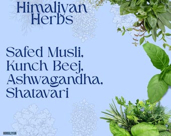 Safed-musli, Kunch Beej, Ashwagandha, Shatavari 100 gram combopakket
