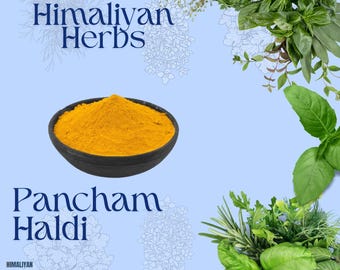 Miscela di 5 tipi di curcuma / Polvere di Pancham Haldi / Mix di cinque curcuma / Mix di radici di curcuma a base di erbe naturali / Rafforzatore del sistema immunitario / Superfood ayurvedico