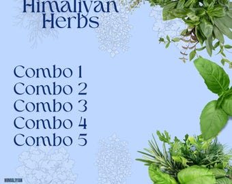Herbs combo - Safed Musli, Ashwagandha, Shatavari, Kaunch Beej, Gokhru, Akarkara, Vidarikand, Kali Musli, Guduchi (Whole / Powder)