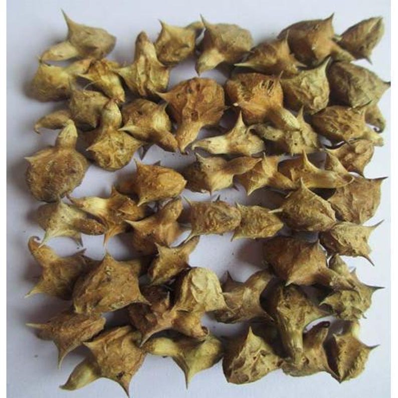 Safed-musli, Kaunch Beej, Gokhru, Shatavar, Ashwagandha 250 gram combopakket afbeelding 5