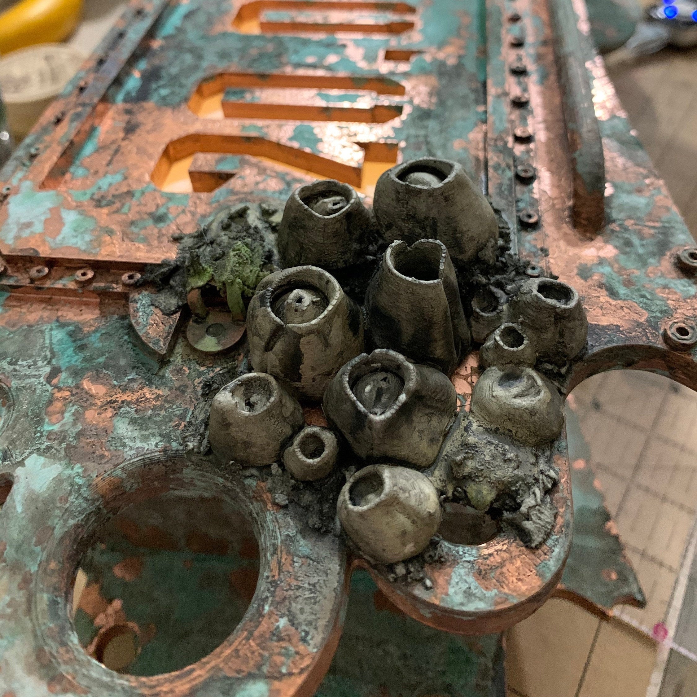 【波紋アート】Real Ocean／barnacle／フジツボ／15cmプリズム Barnacles, Ocean Style, Coastal, Beach Life Decor, Crafts