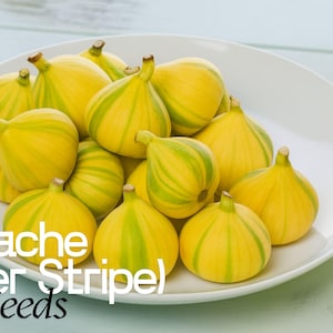 May include: A white plate filled with yellow and green striped figs, labeled "Panache (Tiger Stripe) Fig Seeds". The figs have a teardrop shape and are clustered together. The background is a light blue wooden surface.