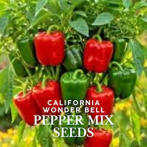 California Wonder Bell Pepper Seeds: Heirloom Color Mix, Easy Grow
