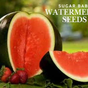Sugar Baby Watermelon Seeds: Super Sweet Heirloom Mini Melons